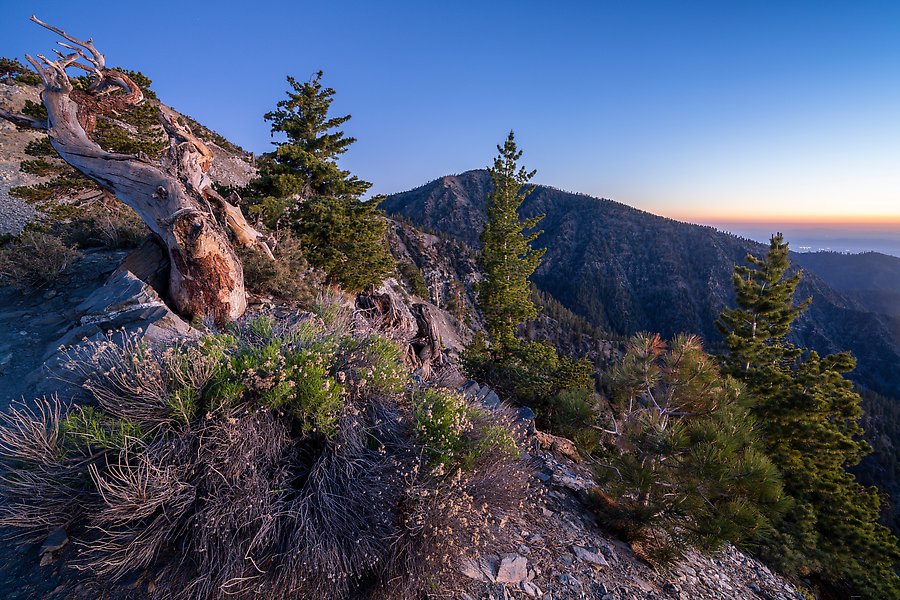 San Gabriel Mountains National Monument, California.  ()