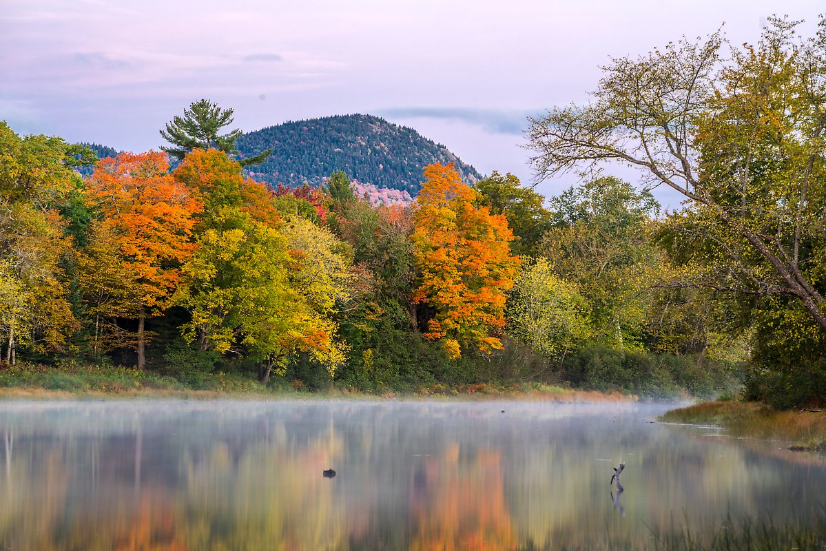 Katahdin Woods and Waters National Monument, Washington.  ()