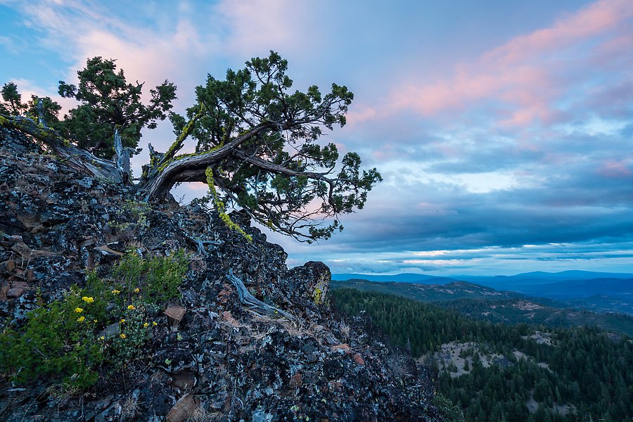 Cascade-Siskiyou National Monument, Oregon.  ()