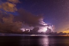 Everglades National Park.  ( )