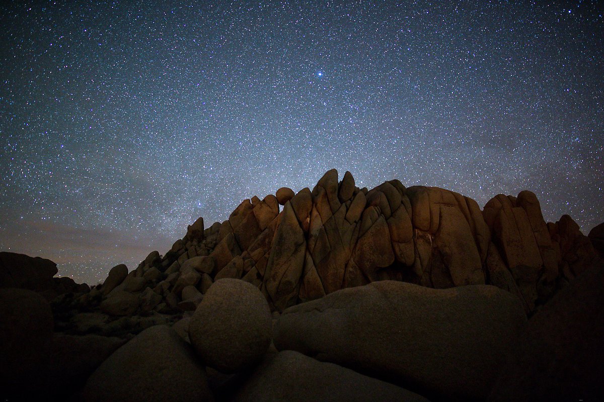 Joshua Tree National Park.  ()