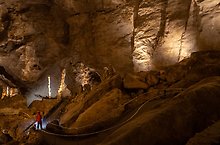 Natural Entrance, Carslbad Cavern. Carlsbad Caverns National Park.  ( )