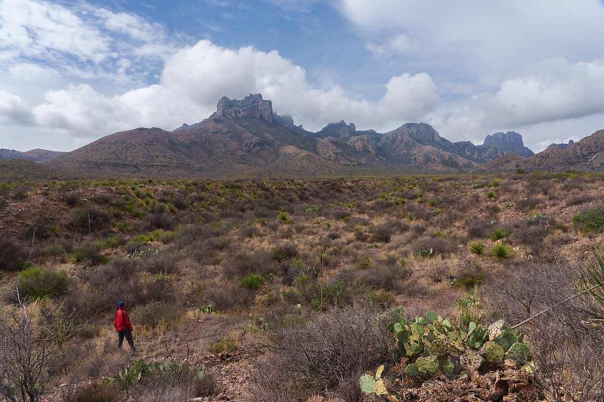 Chisos Mountains. Big Bend National Park.  ()