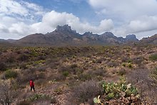 Chisos Mountains. Big Bend National Park.  ( )