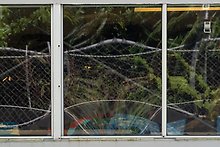 Tropical vegetation,Visitor Center. National Park of American Samoa.  ( )